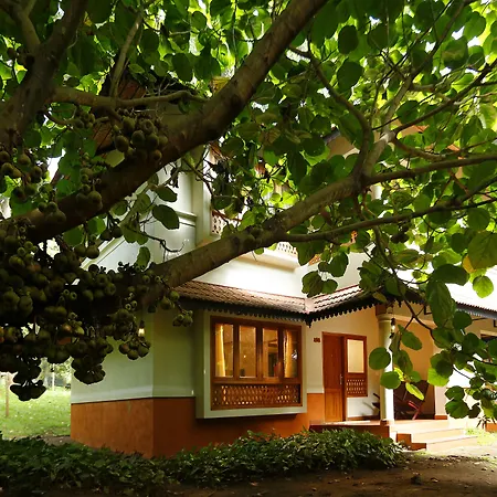 Greenwoods Thekkady - A Five Star Classified Resort-2